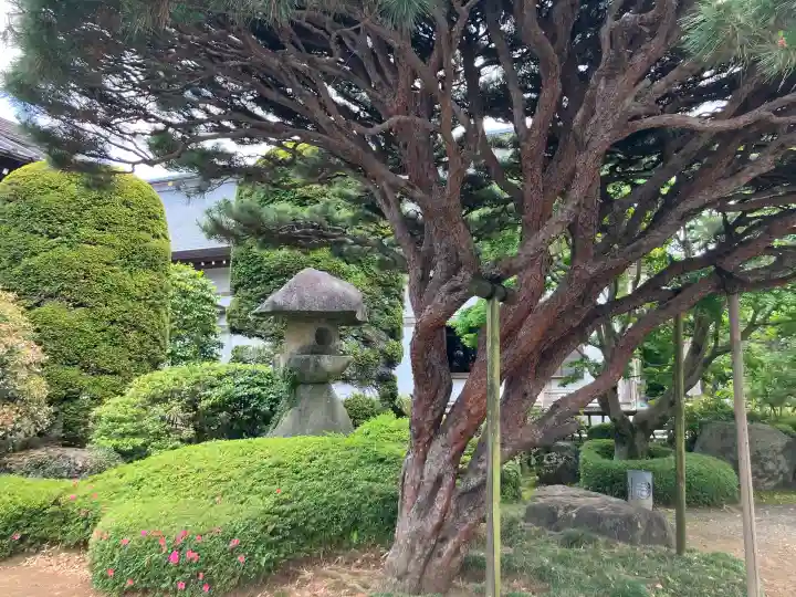 宝光寺の{uncategorized: "未分類", other: "その他", undefined: "問題あり", building: "その他建物", grave: "お墓", sacred_gate: "鳥居", guardian: "狛犬", statue: "像", buddha: "仏像", history: "歴史", nature: "自然", garden: "庭園", animal: "動物", pagoda: "塔", temizu: "手水舎", mountain_gate: "山門・神門", sanctuary: "本殿・本堂", subordinate: "末社・摂社", art: "芸術", scenery: "景色", jizo: "地蔵", ema: "絵馬", goshuin: "御朱印", omikuji: "おみくじ", items: "授与品その他", amulet: "お守り", goshuincho: "御朱印帳", eats: "食事", festival: "お祭り", votive_dance: "神楽", shichigosan: "七五三参", wedding: "結婚式", experience: "体験その他", initially: "初詣", around: "周辺", anti_infection: "感染症対策"}