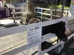 神田神社（神田明神）の動物