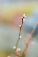 浄土寺(兵庫県)