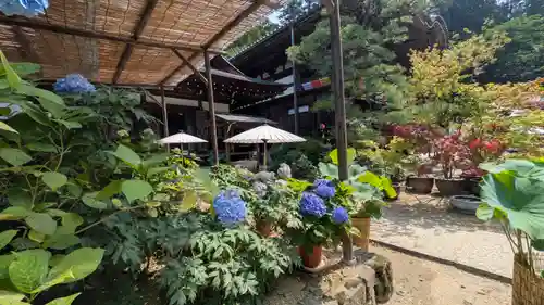 岡寺（龍蓋寺）(奈良県)