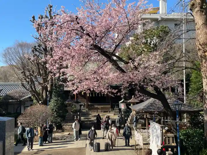 五條天神社の{uncategorized: "未分類", other: "その他", undefined: "問題あり", building: "その他建物", grave: "お墓", sacred_gate: "鳥居", guardian: "狛犬", statue: "像", buddha: "仏像", history: "歴史", nature: "自然", garden: "庭園", animal: "動物", pagoda: "塔", temizu: "手水舎", mountain_gate: "山門・神門", sanctuary: "本殿・本堂", subordinate: "末社・摂社", art: "芸術", scenery: "景色", jizo: "地蔵", ema: "絵馬", goshuin: "御朱印", omikuji: "おみくじ", items: "授与品その他", amulet: "お守り", goshuincho: "御朱印帳", eats: "食事", festival: "お祭り", votive_dance: "神楽", shichigosan: "七五三参", wedding: "結婚式", experience: "体験その他", initially: "初詣", around: "周辺", anti_infection: "感染症対策"}