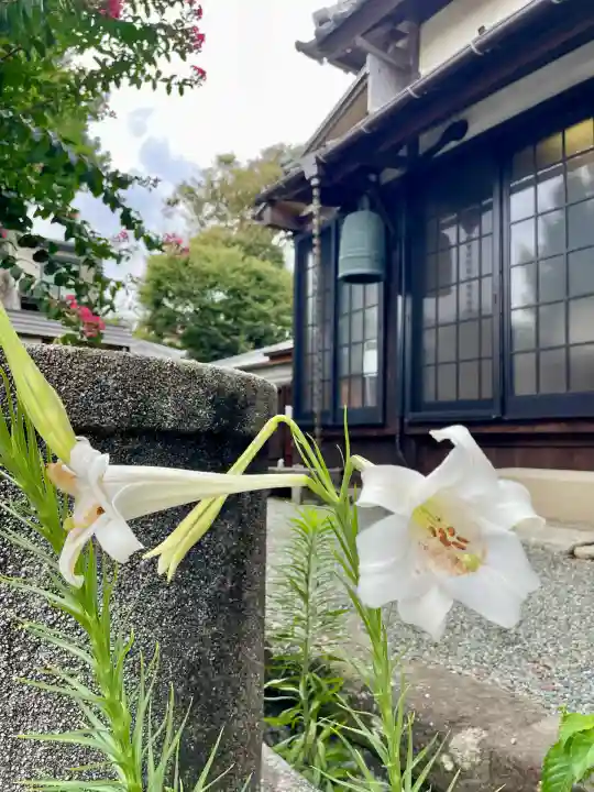 妙輪寺(神奈川県)