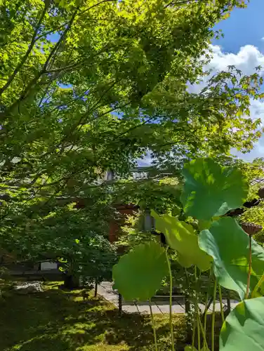 勝林寺(京都府)