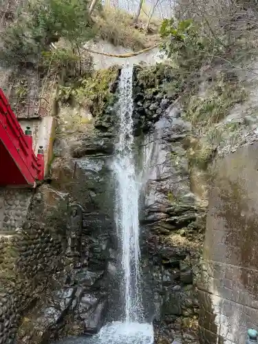 大正寺(中野不動尊)の{uncategorized: "未分類", other: "その他", undefined: "問題あり", building: "その他建物", grave: "お墓", sacred_gate: "鳥居", guardian: "狛犬", statue: "像", buddha: "仏像", history: "歴史", nature: "自然", garden: "庭園", animal: "動物", pagoda: "塔", temizu: "手水舎", mountain_gate: "山門・神門", sanctuary: "本殿・本堂", subordinate: "末社・摂社", art: "芸術", scenery: "景色", jizo: "地蔵", ema: "絵馬", goshuin: "御朱印", omikuji: "おみくじ", items: "授与品その他", amulet: "お守り", goshuincho: "御朱印帳", eats: "食事", festival: "お祭り", votive_dance: "神楽", shichigosan: "七五三参", wedding: "結婚式", experience: "体験その他", initially: "初詣", around: "周辺", anti_infection: "感染症対策"}