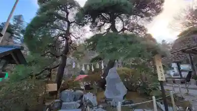 宝登山神社(埼玉県)