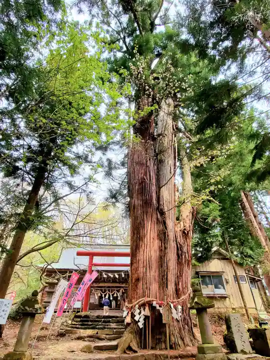 磐椅神社の自然