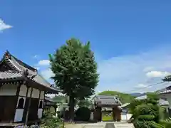 向原寺(奈良県)