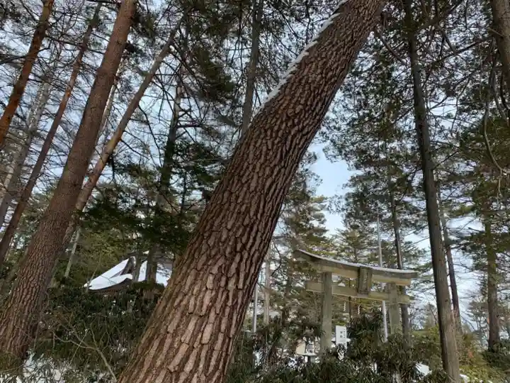 白根神社の自然