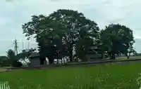 立山社・白山社(百町)(愛知県)
