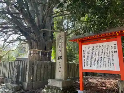 熊野速玉大社(和歌山県)