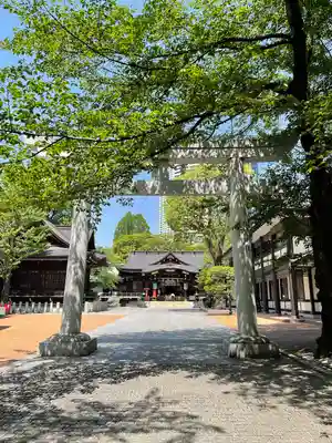 熊野神社の鳥居