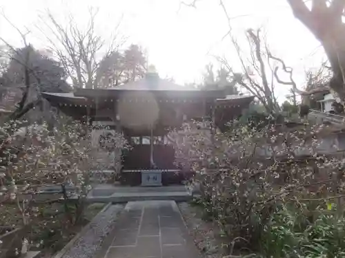 妙楽寺(神奈川県)