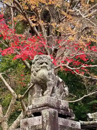 吉御子神社の狛犬