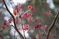 沙沙貴神社(滋賀県)