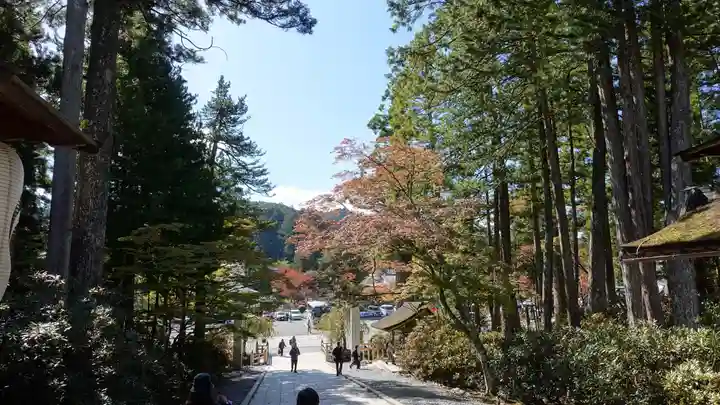 高野山金剛峯寺(和歌山県)