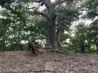 三峰神社(千葉県)