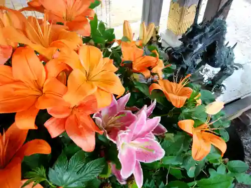 彌彦神社　(伊夜日子神社)の手水舎