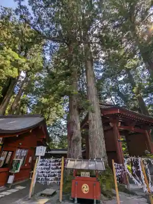 日光二荒山神社(栃木県)