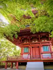 志度寺(香川県)