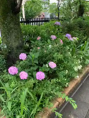 高麗神社(埼玉県)