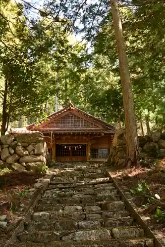 三所神社（桑の川の大杉）(高知県)