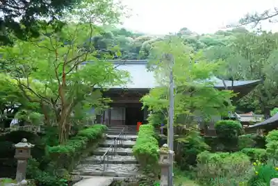 大寧寺(山口県)