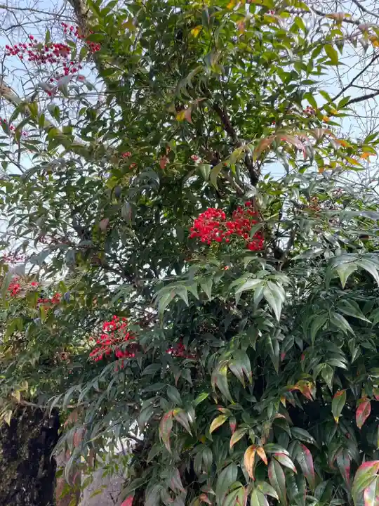 天鷹神社(岐阜県)