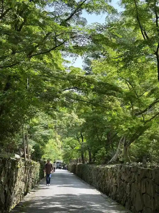 興聖寺(興聖寶林禅寺)の{uncategorized: "未分類", other: "その他", undefined: "問題あり", building: "その他建物", grave: "お墓", sacred_gate: "鳥居", guardian: "狛犬", statue: "像", buddha: "仏像", history: "歴史", nature: "自然", garden: "庭園", animal: "動物", pagoda: "塔", temizu: "手水舎", mountain_gate: "山門・神門", sanctuary: "本殿・本堂", subordinate: "末社・摂社", art: "芸術", scenery: "景色", jizo: "地蔵", ema: "絵馬", goshuin: "御朱印", omikuji: "おみくじ", items: "授与品その他", amulet: "お守り", goshuincho: "御朱印帳", eats: "食事", festival: "お祭り", votive_dance: "神楽", shichigosan: "七五三参", wedding: "結婚式", experience: "体験その他", initially: "初詣", around: "周辺", anti_infection: "感染症対策"}