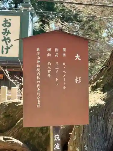 筑波山神社の{uncategorized: "未分類", other: "その他", undefined: "問題あり", building: "その他建物", grave: "お墓", sacred_gate: "鳥居", guardian: "狛犬", statue: "像", buddha: "仏像", history: "歴史", nature: "自然", garden: "庭園", animal: "動物", pagoda: "塔", temizu: "手水舎", mountain_gate: "山門・神門", sanctuary: "本殿・本堂", subordinate: "末社・摂社", art: "芸術", scenery: "景色", jizo: "地蔵", ema: "絵馬", goshuin: "御朱印", omikuji: "おみくじ", items: "授与品その他", amulet: "お守り", goshuincho: "御朱印帳", eats: "食事", festival: "お祭り", votive_dance: "神楽", shichigosan: "七五三参", wedding: "結婚式", experience: "体験その他", initially: "初詣", around: "周辺", anti_infection: "感染症対策"}