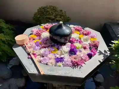 神楽坂安養寺(東京都)