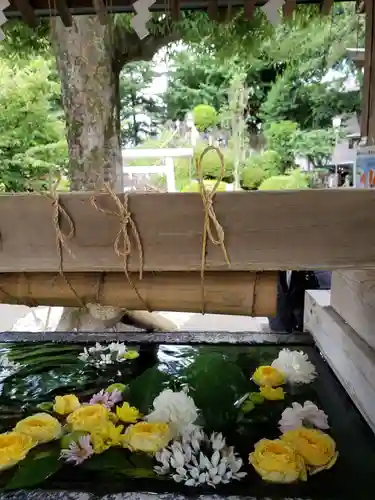 鳩森八幡神社の手水舎