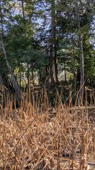 法界寺(日野薬師)(京都府)