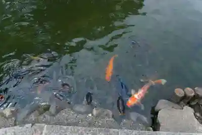 伊佐須美神社(福島県)