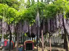 荒井神社の庭園