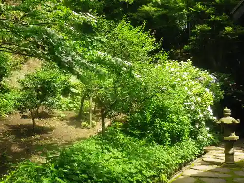 東慶寺の庭園