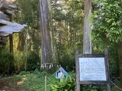 小村神社(高知県)