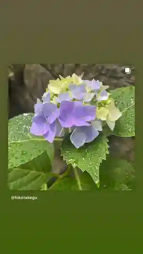 彦嶽宮(熊本県)