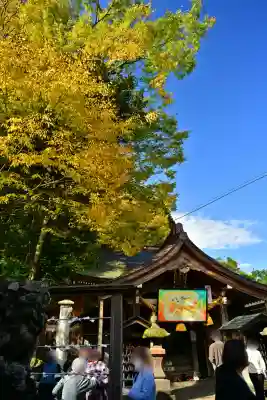 高龍神社(新潟県)