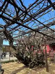 笠間稲荷神社(茨城県)