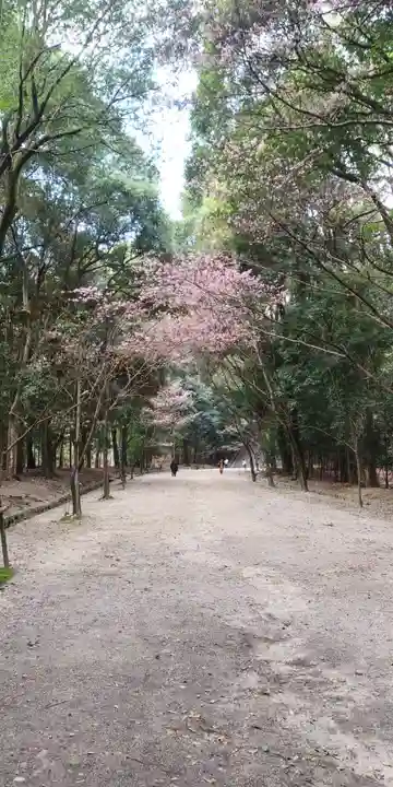 近江神宮のその他建物