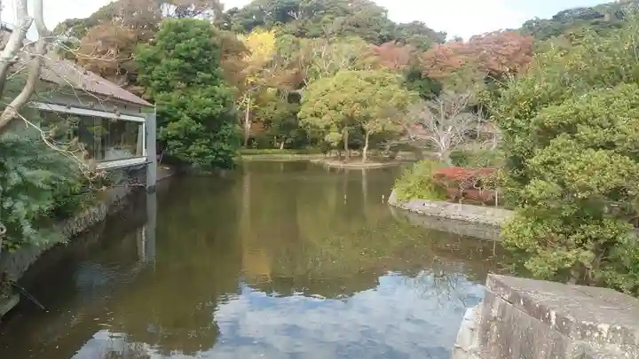 鶴岡八幡宮の庭園
