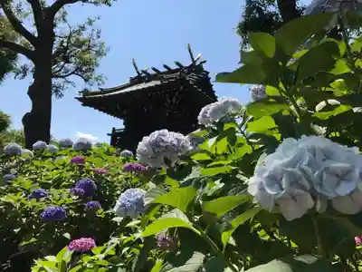 白山神社のその他建物