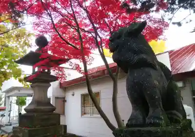 彌彦神社　(伊夜日子神社)の狛犬