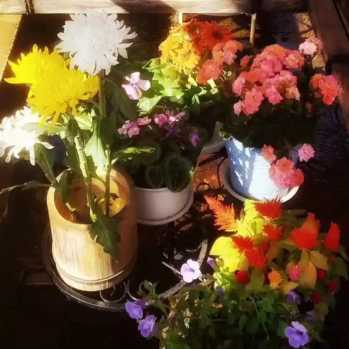 津島神社の自然