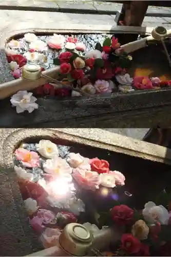 真正極楽寺（真如堂）の手水舎