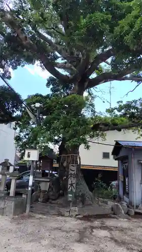 櫟谷七野神社(京都府)