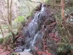 花園神社の自然