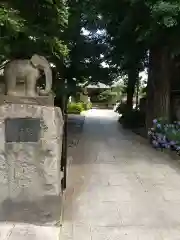 瑞泰寺の狛犬