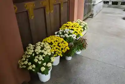 東京大神宮(東京都)