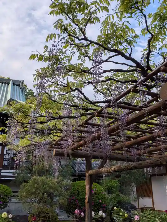 愛染院(東京都)